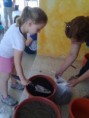 /album/galeria-de-fotos-estou-curioso1/sementeiras-11-jpg/